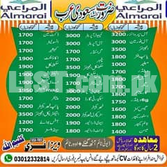 QATAR / SAUDIA Freelance Azad Visa Available For Pakistani Citizens