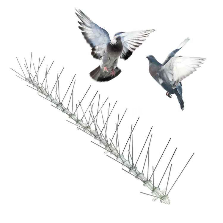Bird spikes barrier
