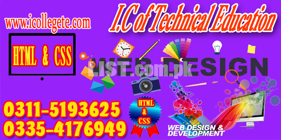 Professional Web Designing Course in