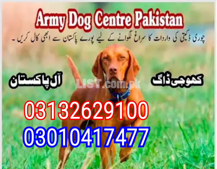 Army dog center