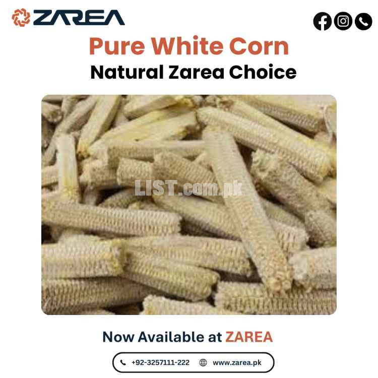 Corn Cob White Available on Zarea Limited