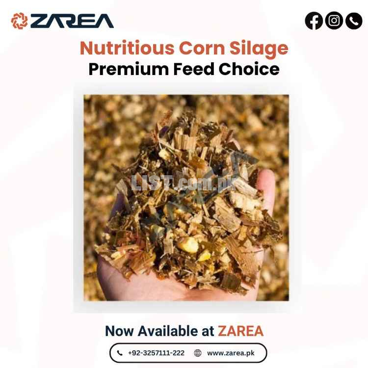 Corn Silage Available at Zarea