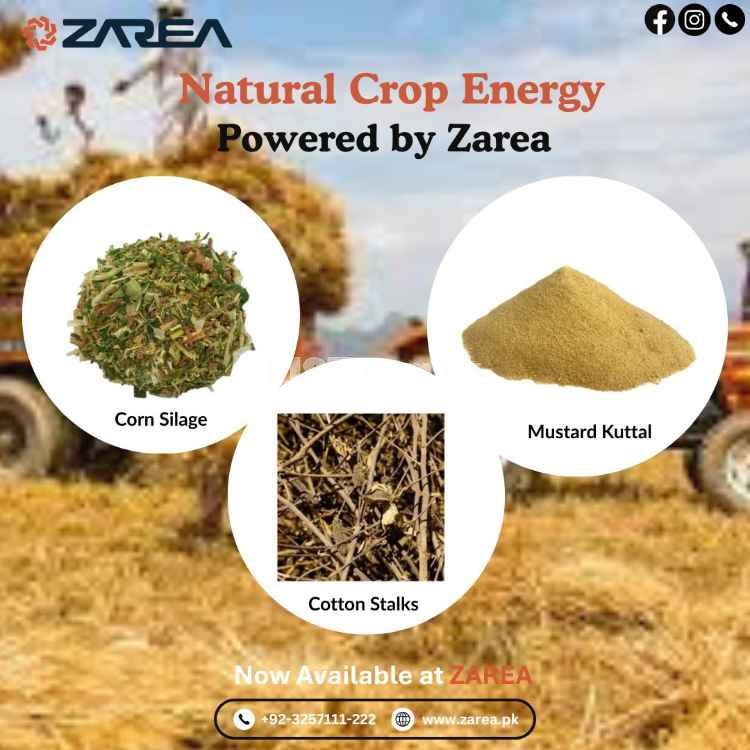 Agriculture Biomass Options at Zarea