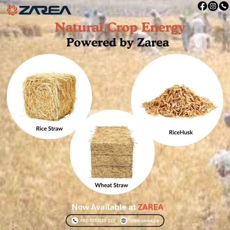 Agri Biomass Options at Zarea Limited