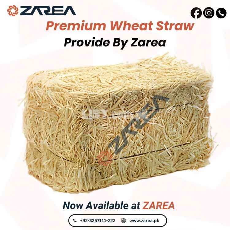 Wheat Straw | ZAREA