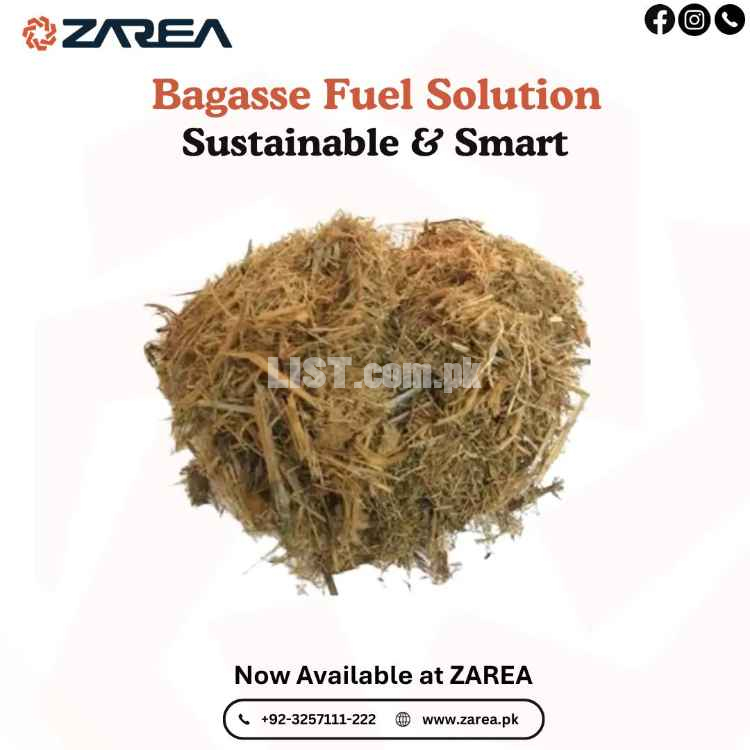 Bagasse | Zarea Limited