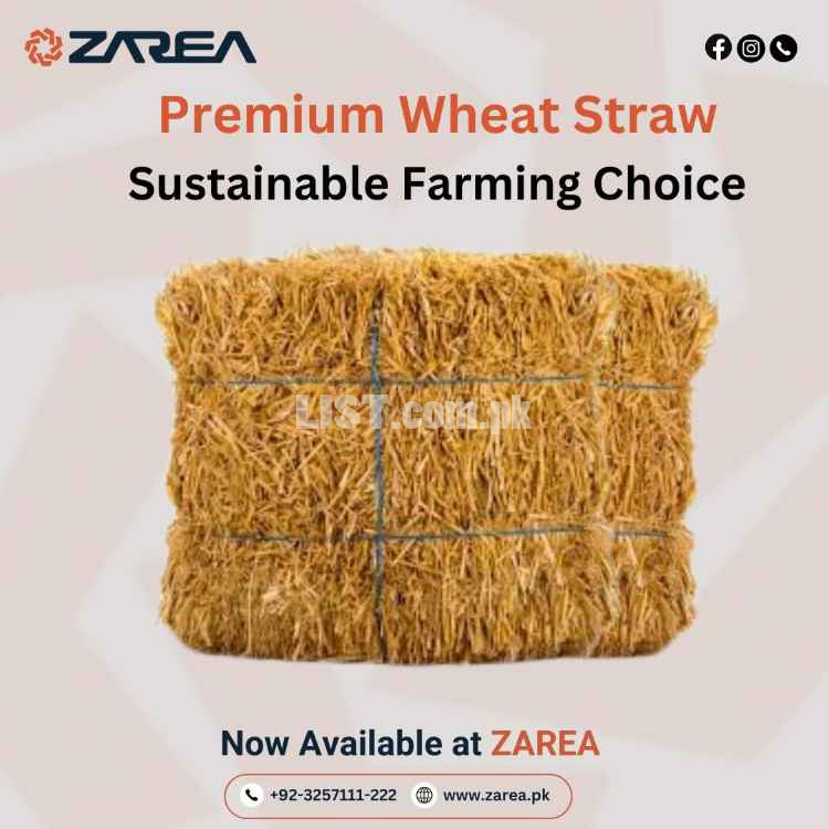 Wheat Straw | Zarea.pk