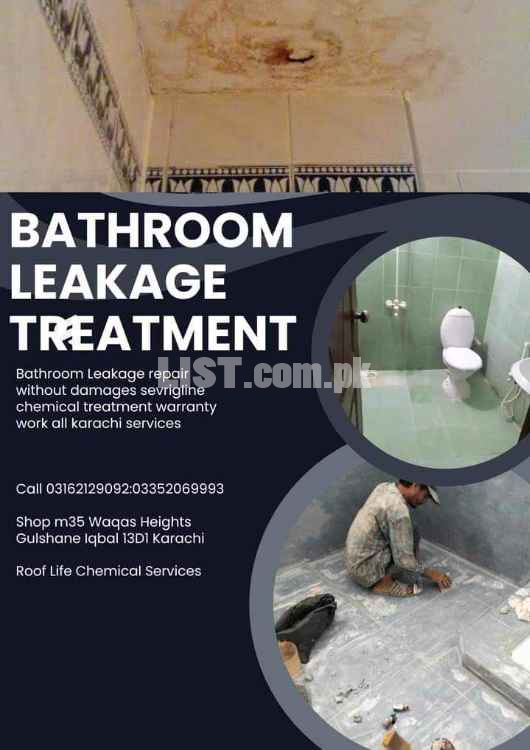 Roof waterproofing Treatment services
