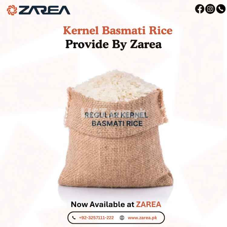 Regular Kernel Basmati Rice | ZAREA |