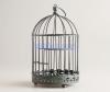 Bird cage in good condition