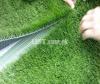 AstrotURf artificial grass