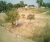 5 Marla plot available in johd near Golra railway station