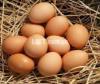 Desi eggs FOR SALE