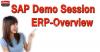 Introduction to SAP ERP   FREE WORKSHOP  WITH CERTIFICATE