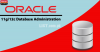 Oracle Database 11g and 12c Introduction - FREE WORKSHOP