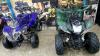 Adult size 149 cc 124 cc Quad ATV BIKE 4 sell deliver PAK
