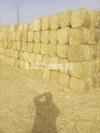Stocked Toori/Bhoosa/Wheat Straw For Sale (100 Ton - Lahore)