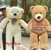 New Big Teddy Bears for Decorations , Anniversary ,Birthday  Gifts