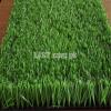 GET ARTIFICIAL GRASS AT REASONABLE PRICE ALL OVER PAKISTAN