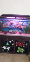 Fish Aquarium with all accessories and fishes