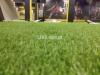 Artificial Grass - Best Quality Astroturf in Pakistan