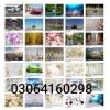 Wall Decor with wallpaper mural wall picture scenery wall papers