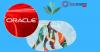Oracle ERP Applications Introduction - FREE WORKSHOP