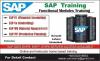 Sap Fi Co MM PP SD online training and SAP iDES server access