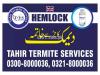Termite Control Lahore | Pest Control Lahore | Tahir Termite Service