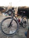 ALVAS Racer Black Imported Bycycle