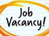 Sales Manager / Sales Advisors