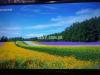 Samsung 32 Inches 2020 Model Box Pack UHD LED TV with Delivery