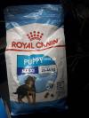 royal canin puppy food