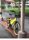 Gbike by goggle