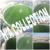 Artificial grass astro turf for sell