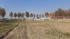 Residential Plot For Sale In Bahria Education Medical City