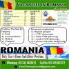 WORK VISA IN ROMANIA