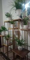 Indoor plants stand