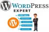 Looking for wordpress developer