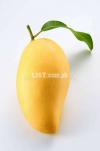 mango for sale