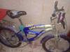 Lion King bike new condition like new