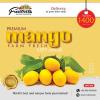 Premium Quality Mangoes