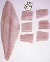 Fresh Sea fish boneless fillets whole sale rates