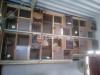 Wooden cage for sale