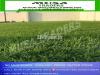For decoring restaurants offices lawns use artificial grass