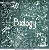 Biology home tutor Available (9,10,11,12)