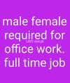 Male female required for office work