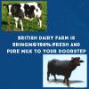 Pure and fresh cow milk available