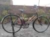 PEGO Bicycle For Sale