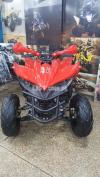 249 -CC reptor Quad ATV BIKE for sell deliver all pak